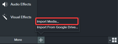 Camtasia - opening the dialog for importing the logo